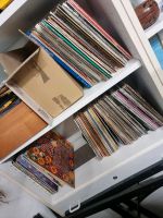 Über 100 Schallplatten als Sammlung abzugeben Kr. München - Unterföhring Vorschau