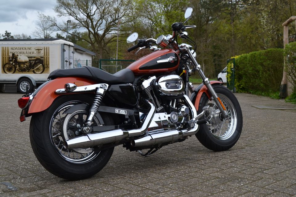 Harley Davidson Sportster XL1200C Custom in Papenburg