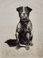 Jack Russel Terrier Radierung v. P. Casberg (*1883) 1925 signiert Saarbrücken - St Johann Vorschau