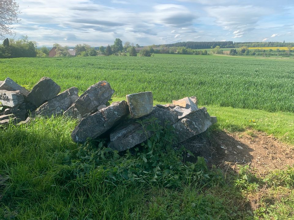 Vorarlberger Flussbausteine & Würzburger Muschelkalksteine in Herbertingen