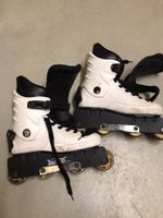 Inline Skates Yashima Line Gr 38 Inliner München - Ramersdorf-Perlach Vorschau