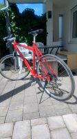 Fahrrad 28 Zoll Baden-Württemberg - Amtzell Vorschau