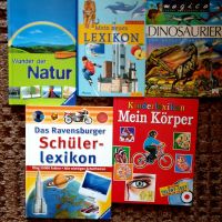 Kind Lexikon Sachbuch Paket Dino Bildung Körper Schule Sachsen - Hoyerswerda Vorschau