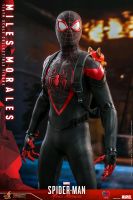 Hot Toys Miles morales Spider-man Berlin - Mitte Vorschau