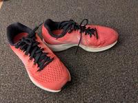 Sneaker Laufschuhe Sportschuhe Nike Air Zoom Pegasus 34 Gr. 37,5 Brandenburg - Blankenfelde-Mahlow Vorschau