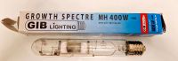 GIB Lighting Growth Spectre 400W Metall Halogen Dampflampe München - Bogenhausen Vorschau