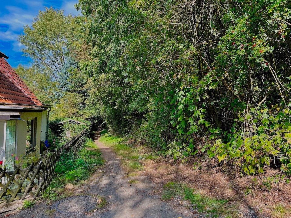 Bad Salzdetfurth  |  Dies könnte Ihre Aussicht sein! Baugrundstück auf Südhang in Bad Salzdetfurth