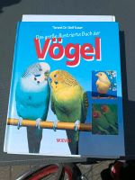 Buch über Vögel Sachsen - Hohndorf Vorschau