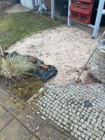 Sand zu verschenken Kreis Ostholstein - Zarpen Vorschau