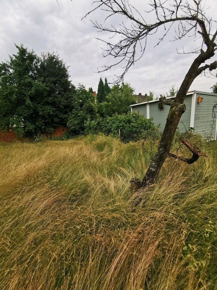 Grundstückspflege/ Gartenpflege/ Rasenmähen/ Anlagenservice! in Kassel