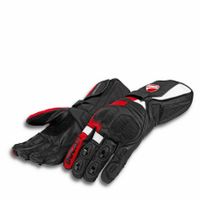 Ducati Speed Evo C2 Handschuhe von Held L XL Bayern - Untersiemau Vorschau