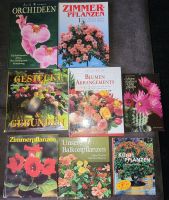 Verschiedene Bücher über Blumen, Zimmerpflanzen u.Balkonpflanzen Thüringen - Gehren Vorschau