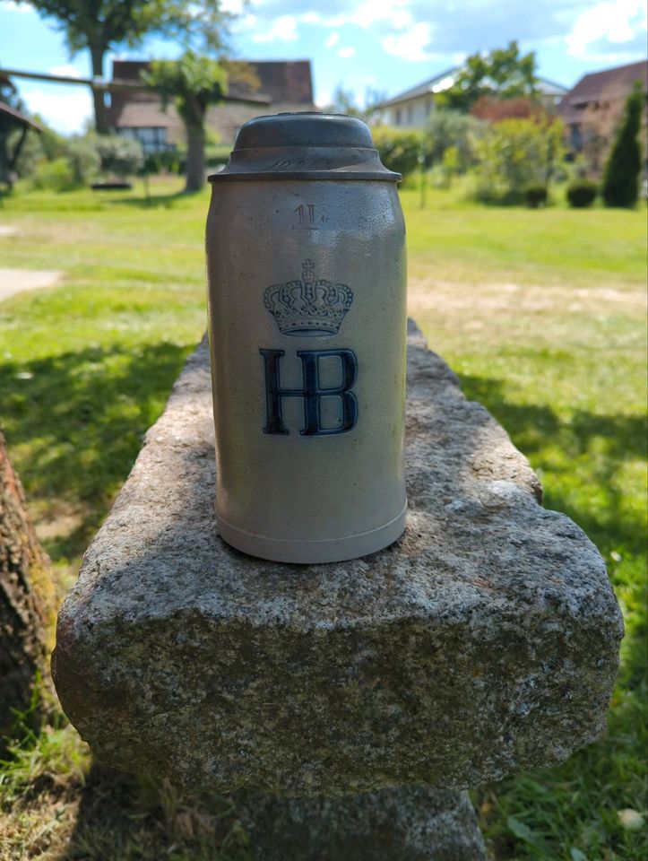 Maßkrug/München Hofbräuhaus in in Cottbus