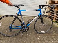 Rennrad der Marke Marin / Venezia Schleswig-Holstein - Kappeln Vorschau