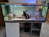 Aquarium 1.60×0.60×0.60 inkl. Heizung und Außenfilter Nordrhein-Westfalen - Welver Vorschau