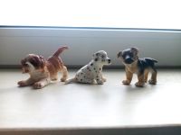 Schleich Hunde Thüringen - Jena Vorschau