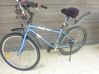 MTB Diamant (DDR), 21-Gang-Shimano, neu bereift, V-Brake-Brems. Baden-Württemberg - Bad Krozingen Vorschau