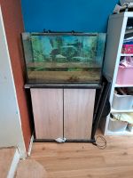 160l Aquarium Altona - Hamburg Lurup Vorschau