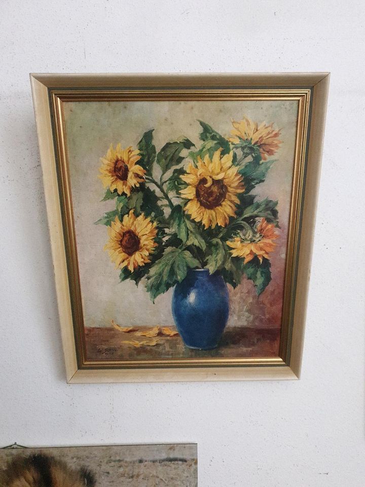Sonnenblumen Bild in Kiel