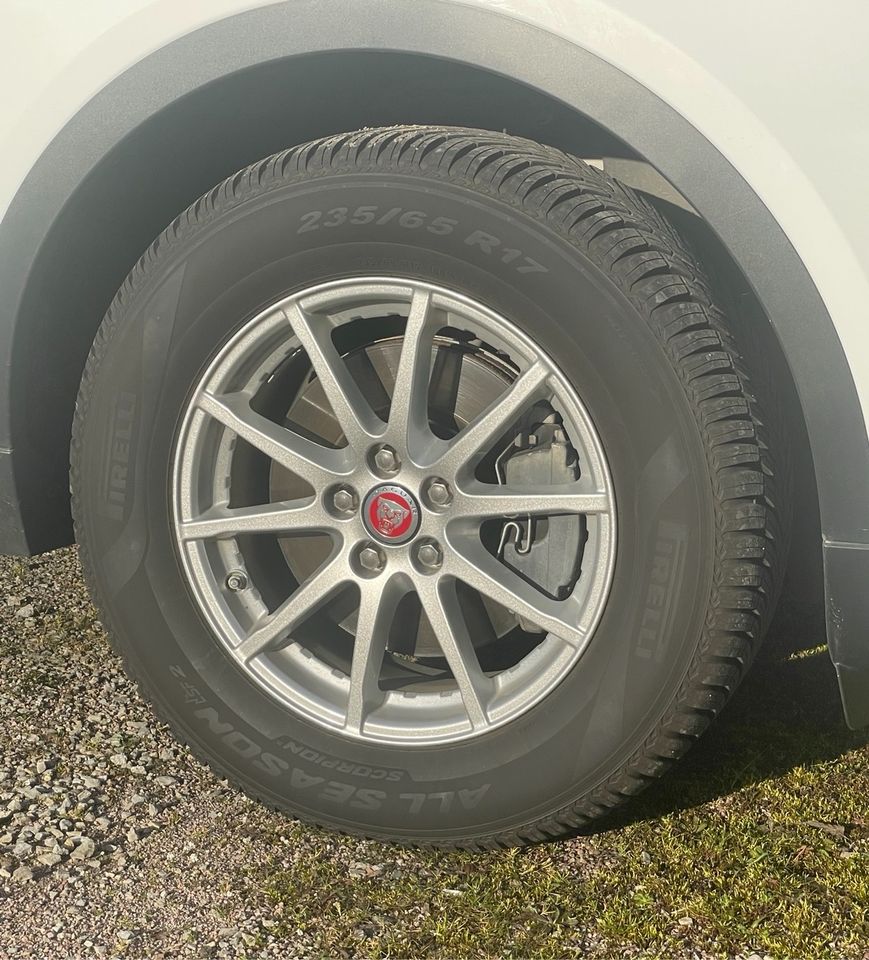 Original Jaguar E-Pace 17 Zoll Alufelgen mit Pirelli Scorpion in Holzkirchen Unterfranken