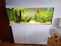 Aquarium von Eheim, 240 Liter mit Technik Niedersachsen - Stadtoldendorf Vorschau