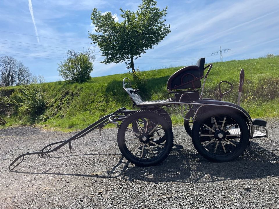 Ein und Zweispänner Kutsche in Steffenberg