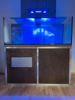 Meerwasser Aquarium mit Überlaufschacht und Technikbecken Hessen - Meinhard Vorschau