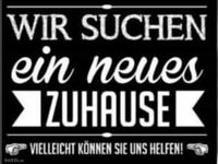 Wir suche ein Haus/Doppelhaus oder Wohnung Hessen - Fulda Vorschau