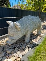 Granit Stein Schwein Bayern - Kempten Vorschau