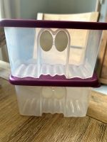 2 x Tupperware Prima Klima 350 ml Lila Deckel Nordrhein-Westfalen - Porta Westfalica Vorschau