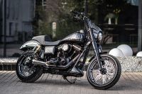 Harley Davidson Dyna Clubstyle 103 Arlen Ness Legend 1HD Hessen - Otzberg Vorschau