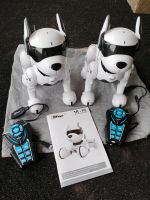 Roboter Hund Niedersachsen - Rhauderfehn Vorschau