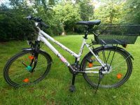 Fahrrad Trekking Rad Raleigh perlmutt Shimano 14 Gang 26" Niedersachsen - Ottersberg Vorschau