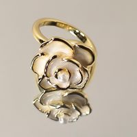 Damen Ring Gold Blumen Ring mit Perle verstellbar Nickelfrei Duisburg - Duisburg-Süd Vorschau