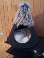 Katzen Tipi Baden-Württemberg - Schemmerhofen Vorschau