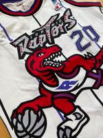 NBA Champion Trikot | M | Raptors | Stoudamire Pankow - Weissensee Vorschau