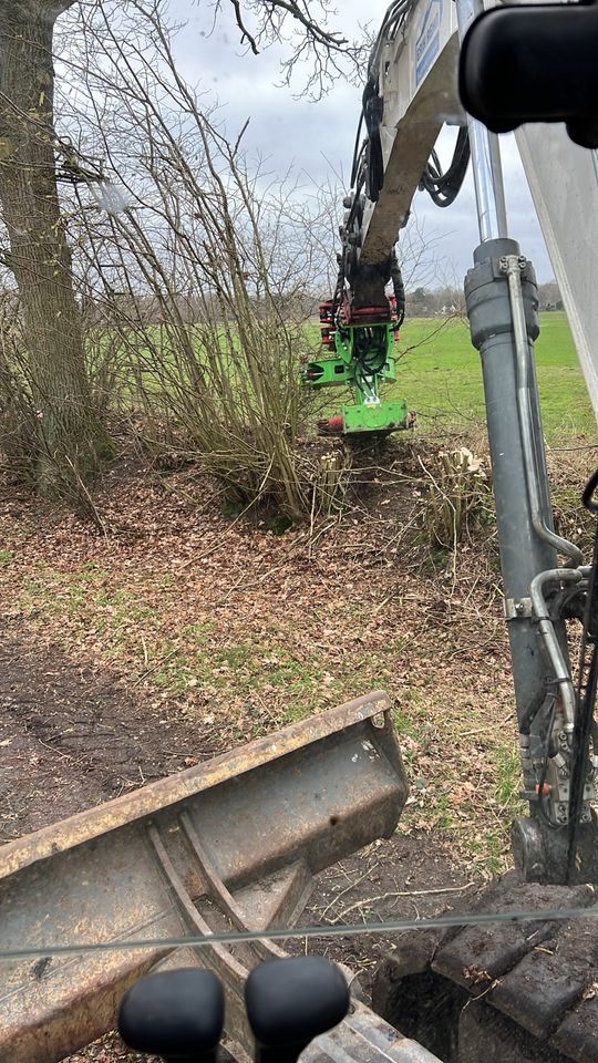 Knick Kneifen Baumfällung Holz Schredder arbeiten in Selent