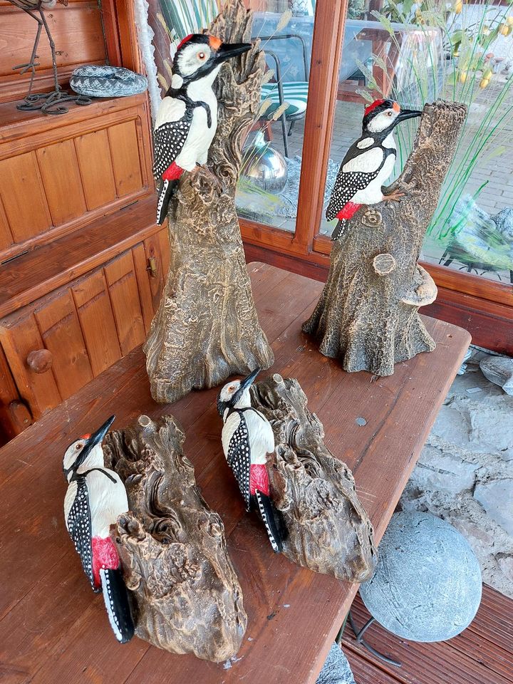 Eisvogel Vogel Buntspecht Tierfigur Steinguss Gartendeko Geschenk in Halsbach