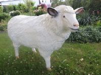 Schaf mollig lebensgroß Dekofigur Gartendeko Deko Sachsen-Anhalt - Naumburg (Saale) Vorschau