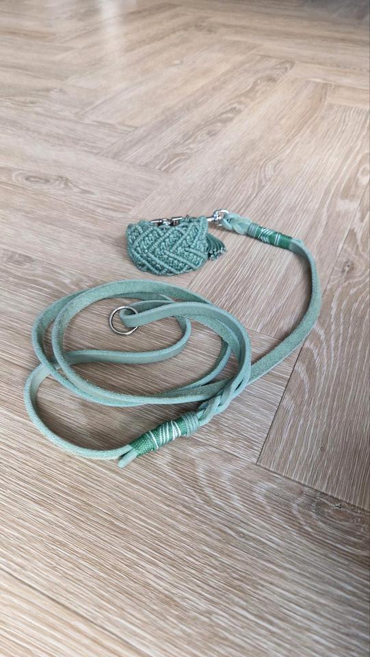 Halsband und Leine für Windspiel sehr klein mint in Magdeburg