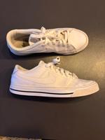 Nike Schuhe | 42 Hessen - Erlensee Vorschau