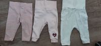 Paket Leggings Schlupfhose s.Oliver Lupilu Baby Boden 62 / 68 Niedersachsen - Wilhelmshaven Vorschau