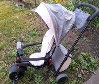 Smarttrike Smartfold 600 TOP ZUSTAND  7 in 1 ab 9 Mo bis 3 Jahre Bayern - Lauf a.d. Pegnitz Vorschau