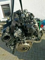 Motor FORD Tourneo 1.5 TDCi XVGB 14.8 TKM 74 KW 101 PS komplett i Leipzig - Leipzig, Zentrum-Nord Vorschau