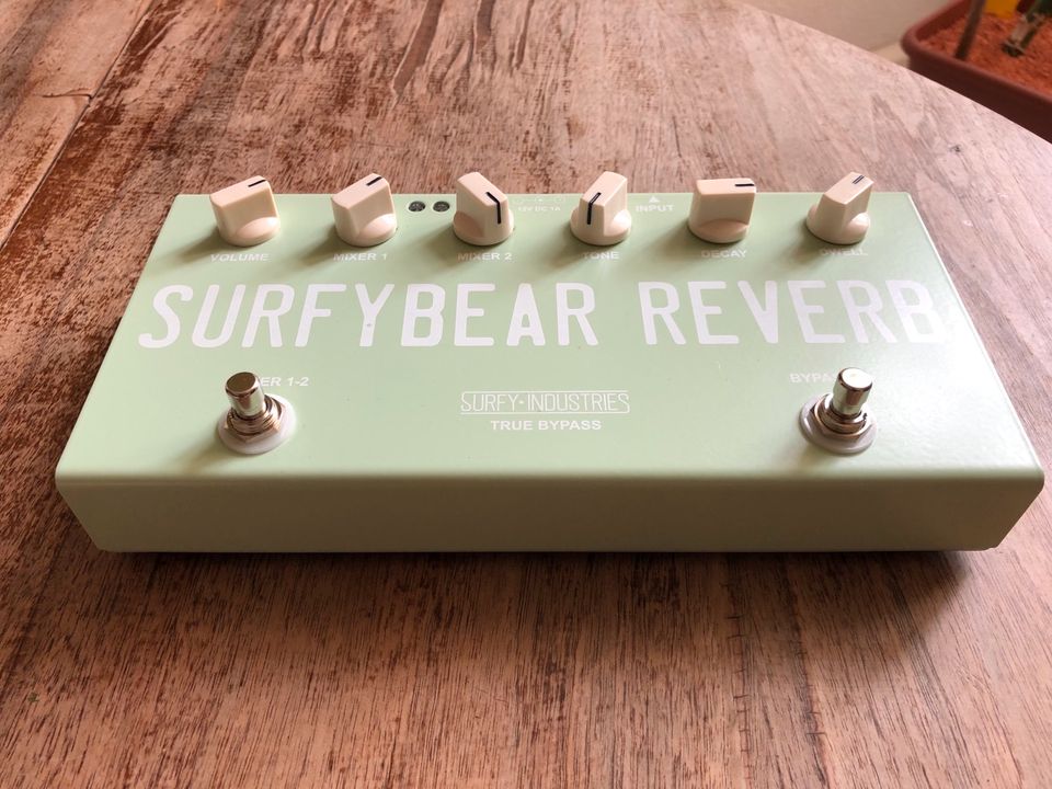 SurfyBear Compact Surf Green - Federhall Reverb in Dresden