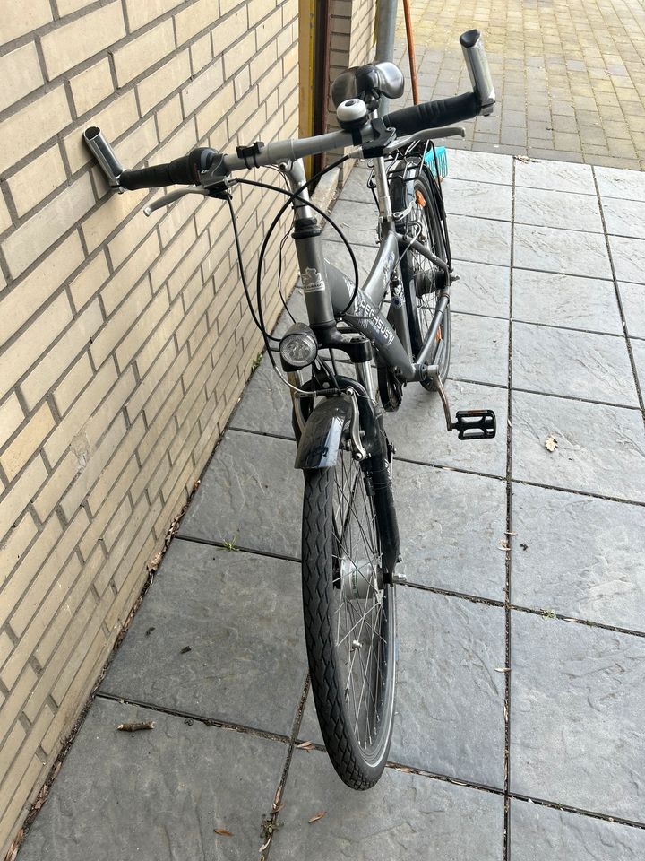 Pegasus Fahrrad für Bastler in Weyhe