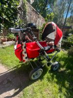 Kinderwagen Puppenwagen Zekiwa Berlin - Neukölln Vorschau