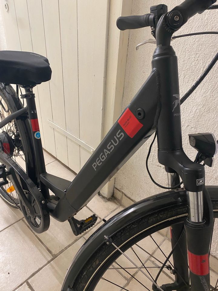 E-bike Pegasus Piazza Evo Gröse 45 in Sulz