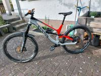 Canyon Torque CF 7.0  L  Teamedition 2020 Freeride Enduro Baden-Württemberg - Bad Ditzenbach Vorschau