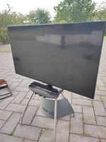 Ultraflacher 4K Smart LED-Fernseher Philips 6000er Serie Rheinland-Pfalz - Bad Neuenahr-Ahrweiler Vorschau